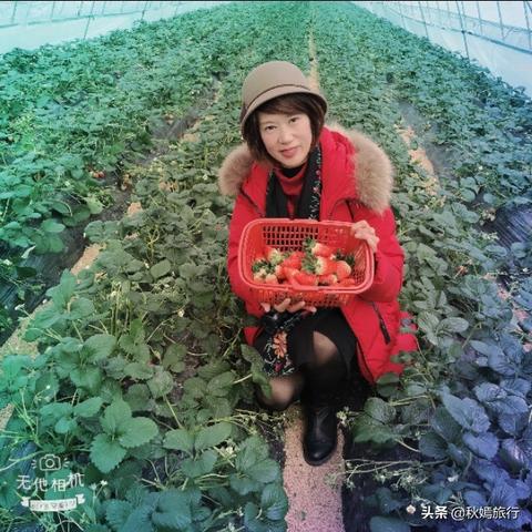 无锡市东港镇哪里最热闹