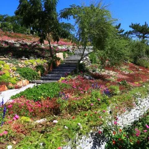 锦州天气义县天气预报的长尾关键词有什么