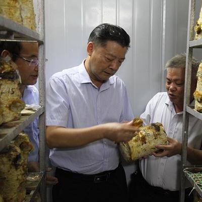 桂林市建设学校怎么样