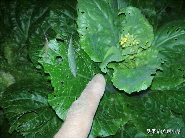 春季女人怀孕的3大坏处