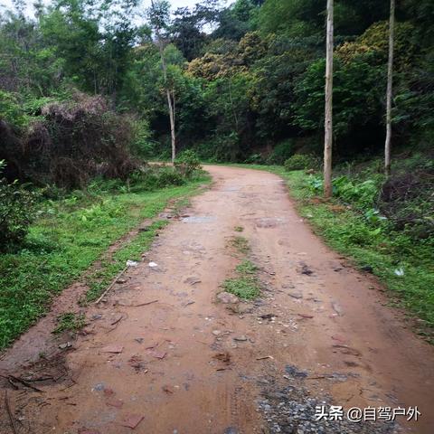 东莞市哪里有室内钓鱼