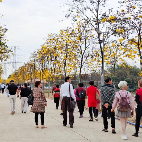 长沙黄花机场 地铁相关长尾关键词有哪些