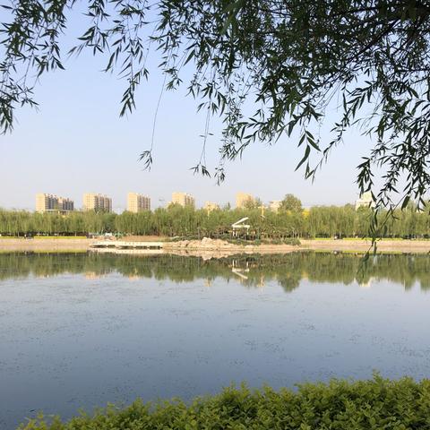 邯郸市样品钢琴门店的长尾关键词有哪些