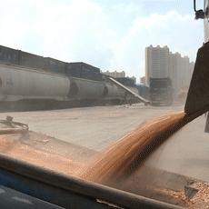 事业运能被算准吗？过来人告诉你真相