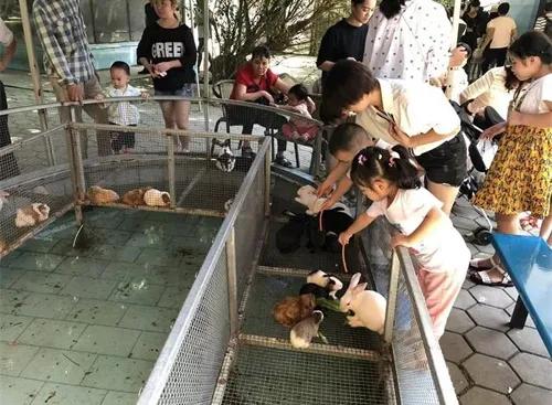 农村24个挣钱的事业，谁先做谁就是最先吃到螃蟹的人