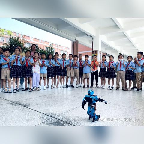 赣州市大坪乡明德小学的长尾关键词有哪些