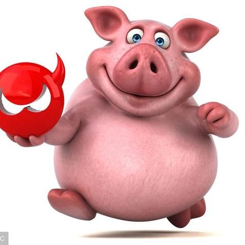 夏秋两季生肖运势(夏秋两季生肖运势查询)