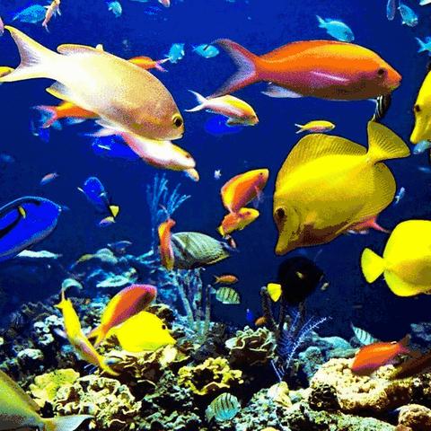无锡市大型水族馆怎么样