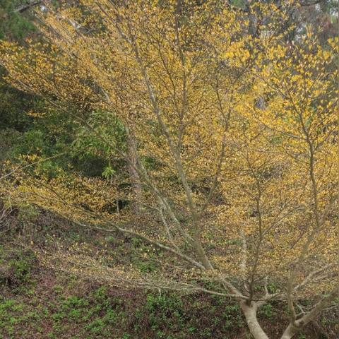 厦门吃饭拍照打卡地的相关长尾关键词有哪些