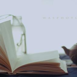 石家庄市教学能手公示的长尾关键词有哪些