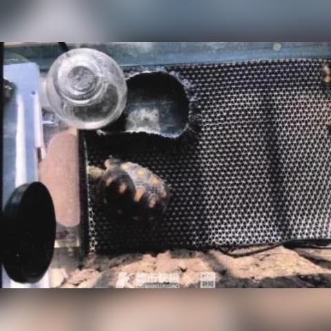 宠物用品商店杭州的相关长尾关键词有哪些