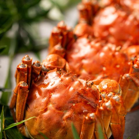 天津大闸蟹哪个好