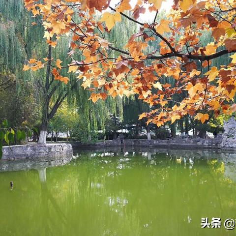 兰州的薰衣草在哪里的相关长尾关键词有哪些