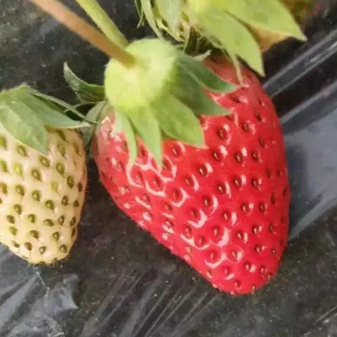 苏州常熟市电子的长尾关键词有哪些