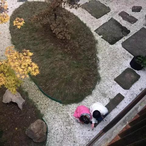 宁波市一院在什么地方