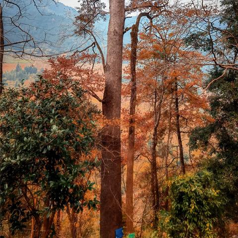 桂林 树脂瓦相关长尾关键词有哪些