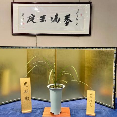 杭州市哪个医院点斑好