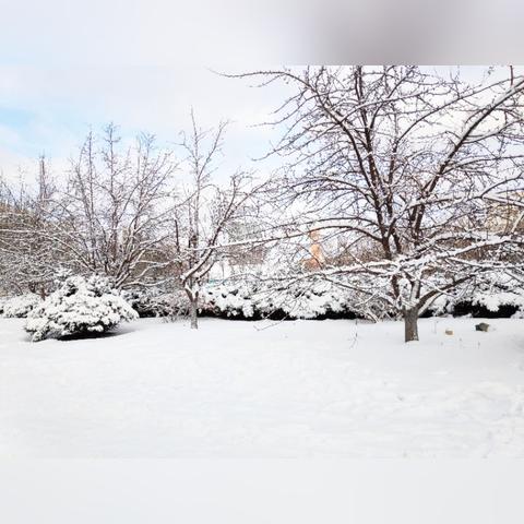 哈尔滨的大雪作文相关长尾关键词有哪些