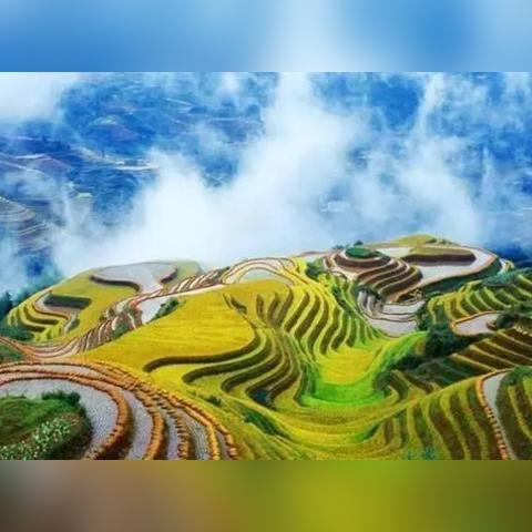 桂林市和平村公交车站在哪里坐车