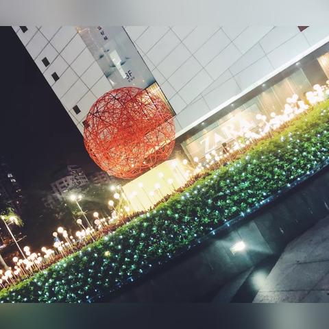 厦门市树是什么？