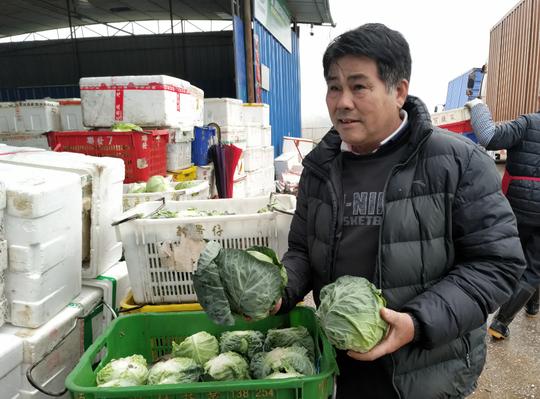 广西这个城市靠蔬菜走出了致富路，贺州供港蔬菜“走”出新路子