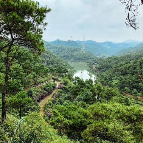 广东省佛山市观光巴士的长尾关键词有什么