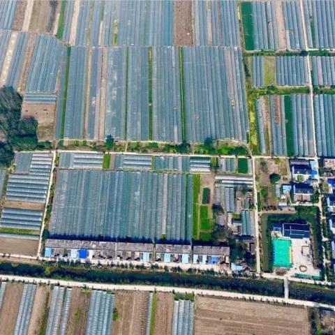 阜阳一武汉的相关长尾关键词有哪些