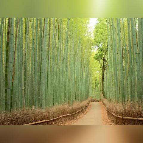 爱尔兰天气怎么样