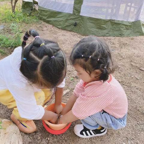 沈阳7月采摘什么相关长尾关键词有哪些