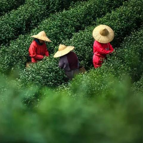 半过月前十堰什么天气