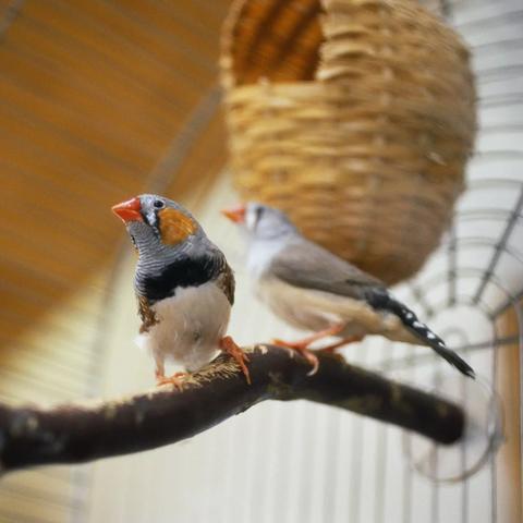 读护理专业可以做什么的长尾关键词是什么