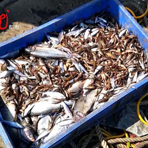 哈尔滨市水产站相关长尾关键词有哪些