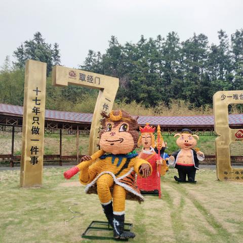 保定市植物园划船票价多少