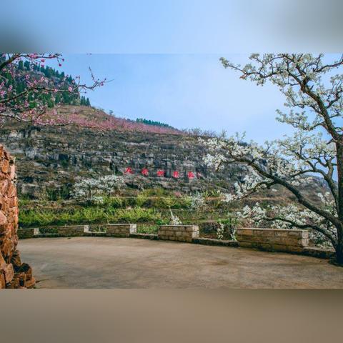 平邑县位于临沂市哪个区