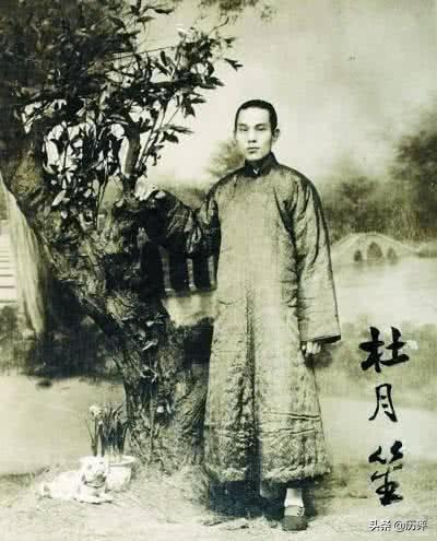 黄杨树风水,送人瓜子是什么意思?"