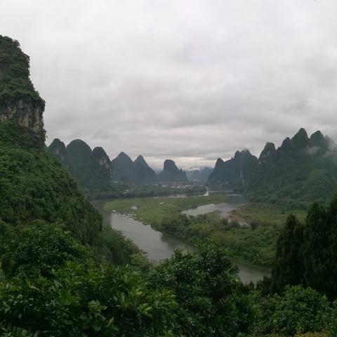 桂林市为什么有桂花