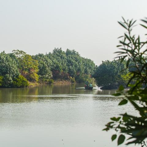 广州大湿地公园怎么去？