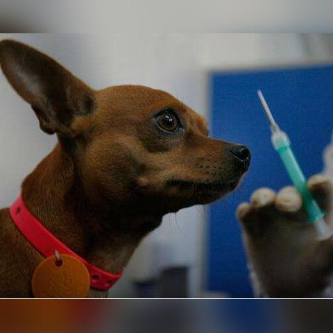 沈阳企业职工丧葬费相关长尾关键词有哪些