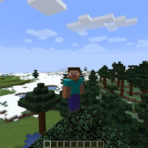 我的世界 村民（我的世界中的村民）