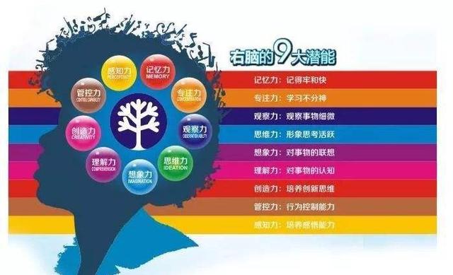 左撇子宝宝真的更聪明吗 左撇子宝宝真的更聪明吗