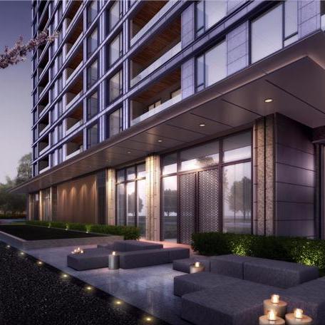 宁波市马路边种的什么树