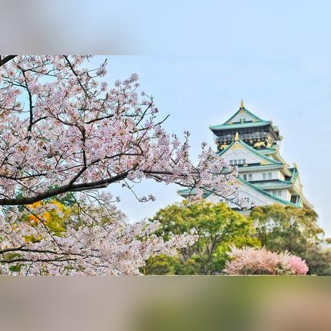 南宁市最出名的山是哪个山