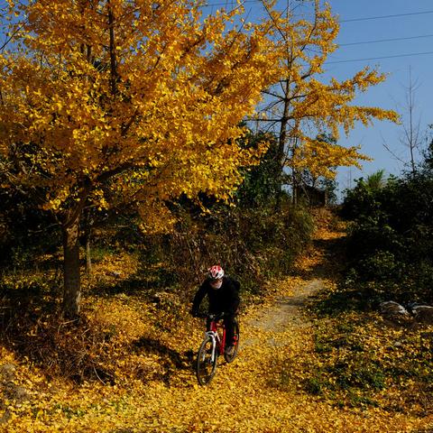桂林沿江骑行相关长尾关键词有哪些