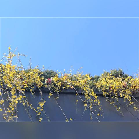 2025.12.24菏泽今日气温变化情况