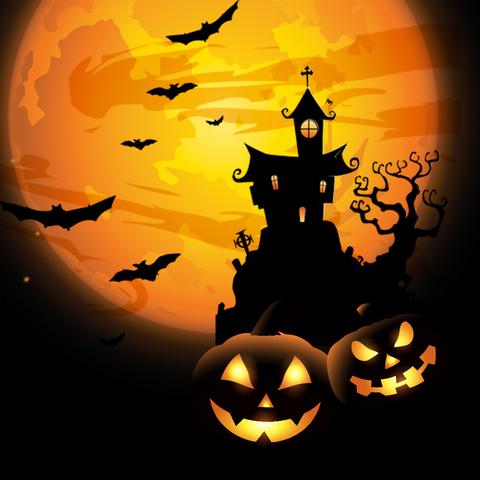 重庆南瓜怎么样