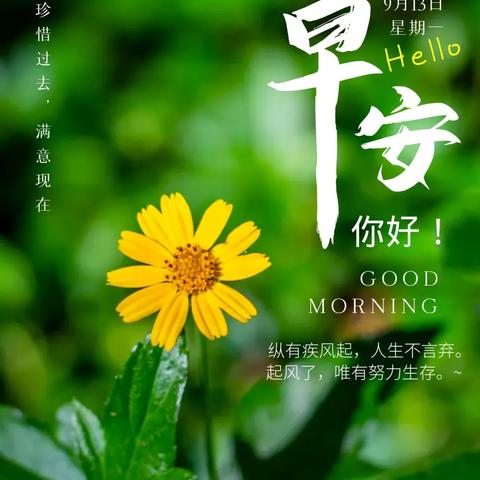 7月13号生肖运势(2021年7月13日生肖)