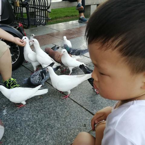 西安亲子摄影相关长尾关键词有哪些