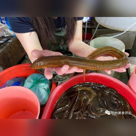 杭州旅游下大雨怎么玩的相关长尾关键词有哪些