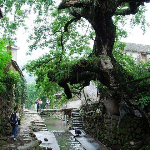 宁波市和慈溪市哪个大