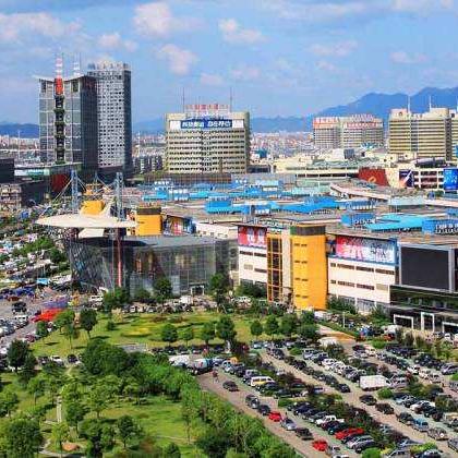 宁波市的市树是什么级别